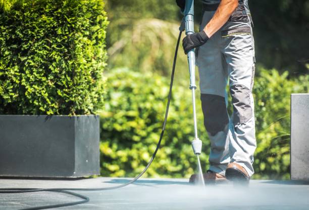 Best House Exterior Washing  in Newcastle, WY
